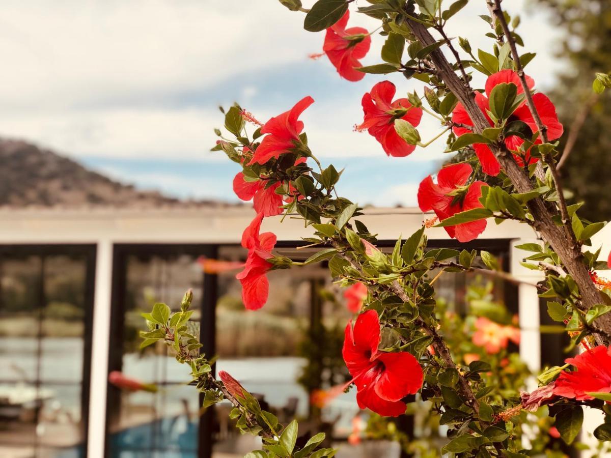 Arp Dalyan Hotel Exterior photo